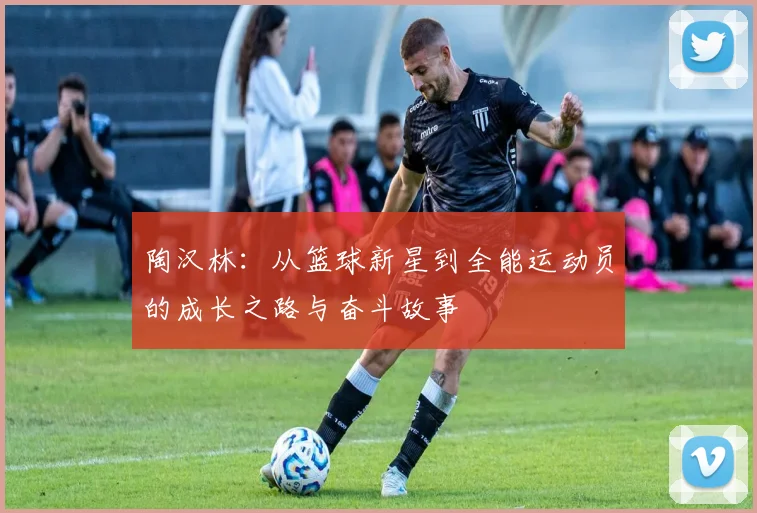 陶汉林：从篮球新星到全能运动员的成长之路与奋斗故事
