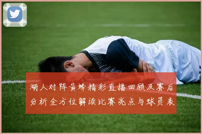 湖人对阵黄蜂精彩直播回顾及赛后分析全方位解读比赛亮点与球员表现