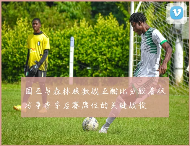 国王与森林狼激战正酣比分胶着双方争夺季后赛席位的关键战役