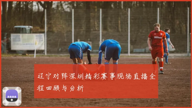 辽宁对阵深圳精彩赛事现场直播全程回顾与分析