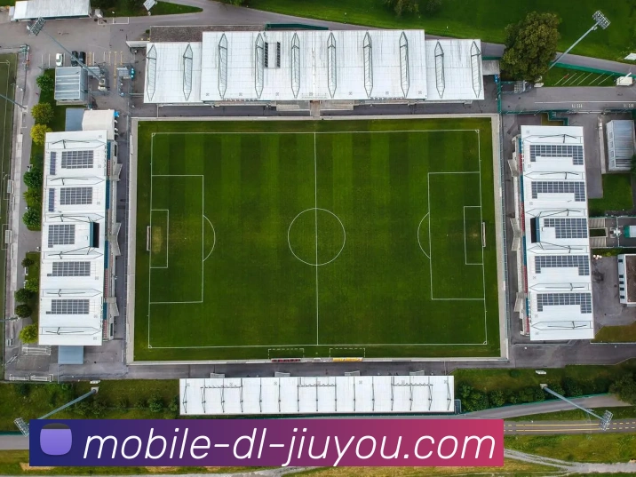 九游体育平台生态图